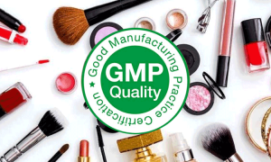 cgmp